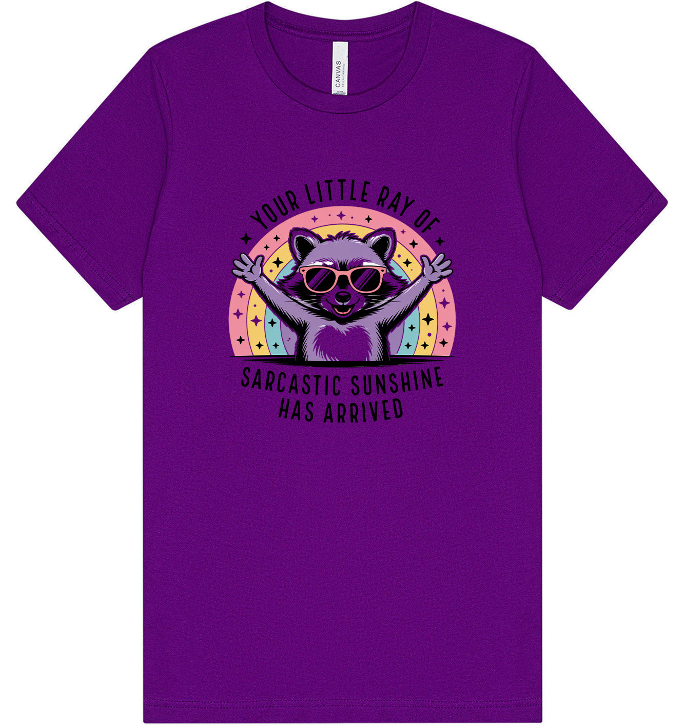 Sarcastic Sunshine Adult Bella Canvas Shirt