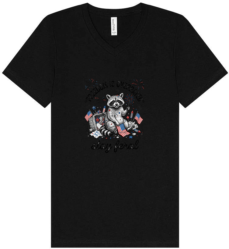 Freedom is Overrated Unisex V-Neck Shirt