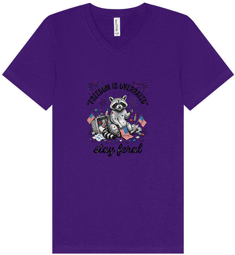 Freedom is Overrated Unisex V-Neck Shirt