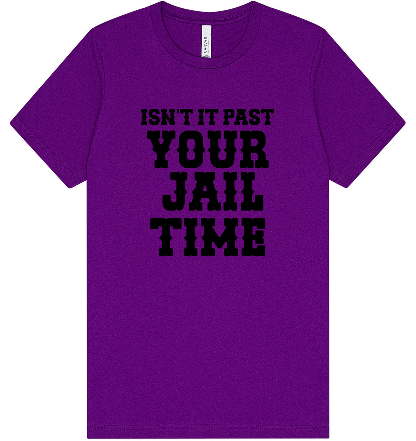 Past Your Jail Time Adult Bella Canvas Shirt