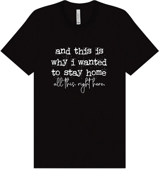 This is Why I Wanted to Stay Home Adult Bella Canvas Shirt