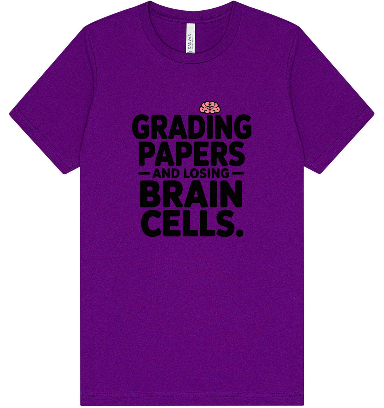 Grading Papers, Losing Brain Cells Adult Bella Canvas Shirt