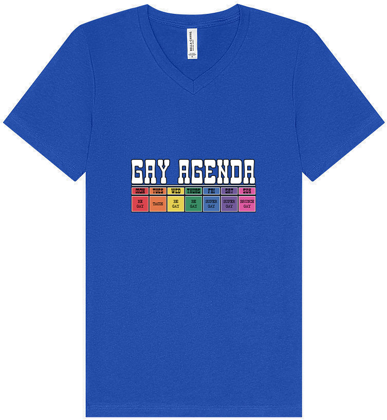 Gay Agenda Unisex V-Neck Shirt