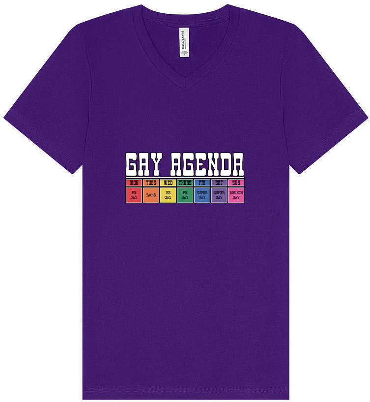 Gay Agenda Unisex V-Neck Shirt