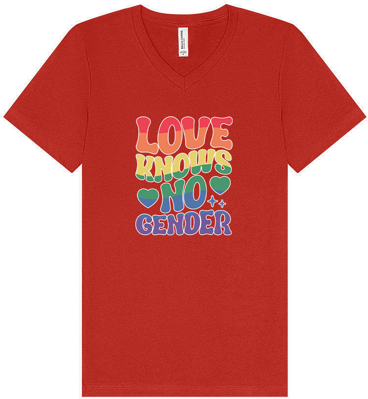 Love Knows No Gender Unisex V-Neck Shirt