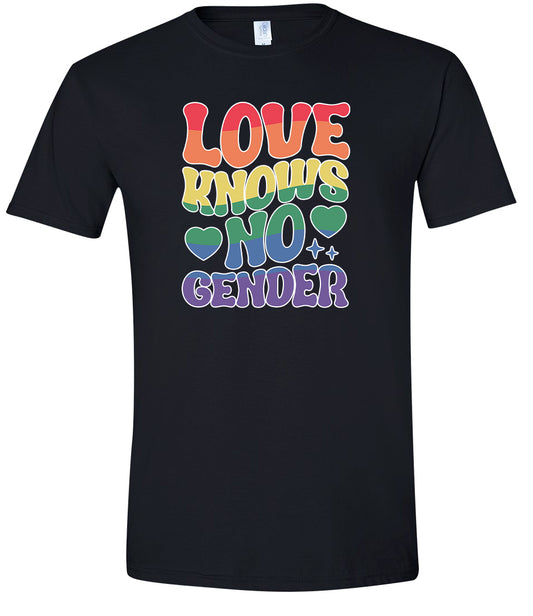 Love Knows No Gender Adult Gildan Soft Shirt