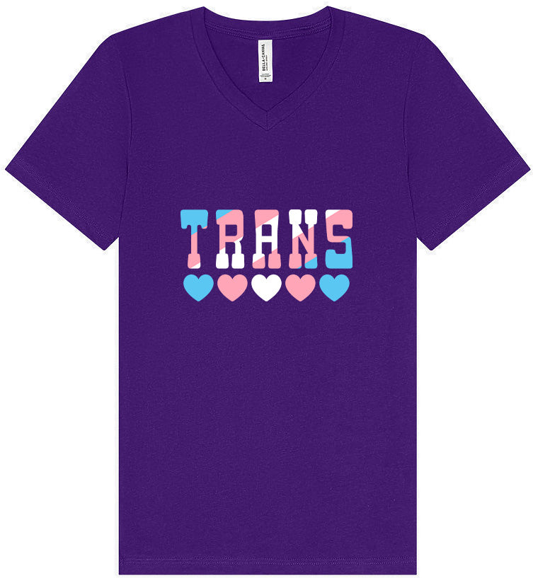 Trans Unisex V-Neck Shirt