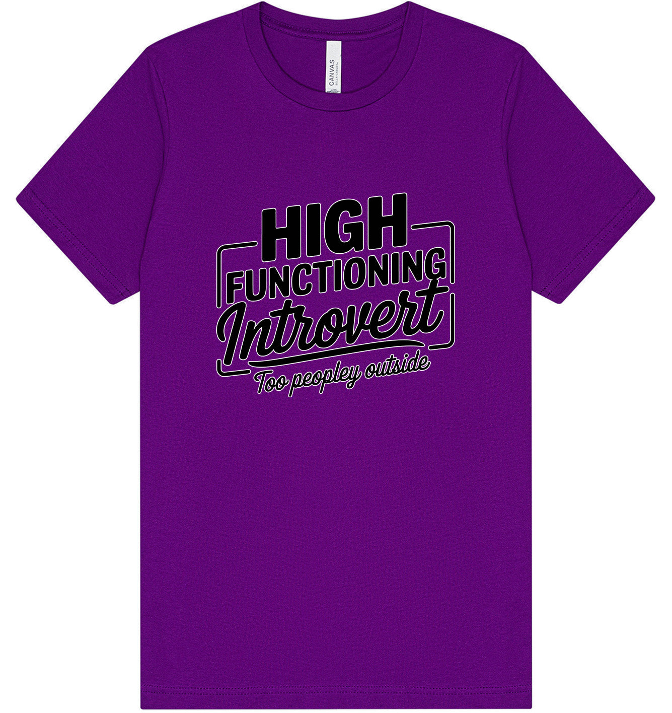 High Functioning Introvert Adult Bella Canvas Shirt