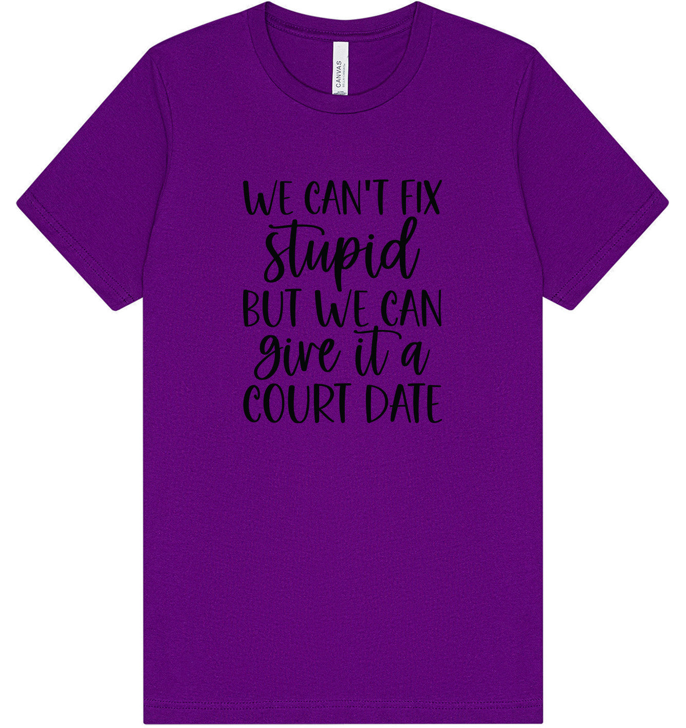 We Can't Fix Stupid but We Can Give it a Court Date Adult Bella Canvas Shirt