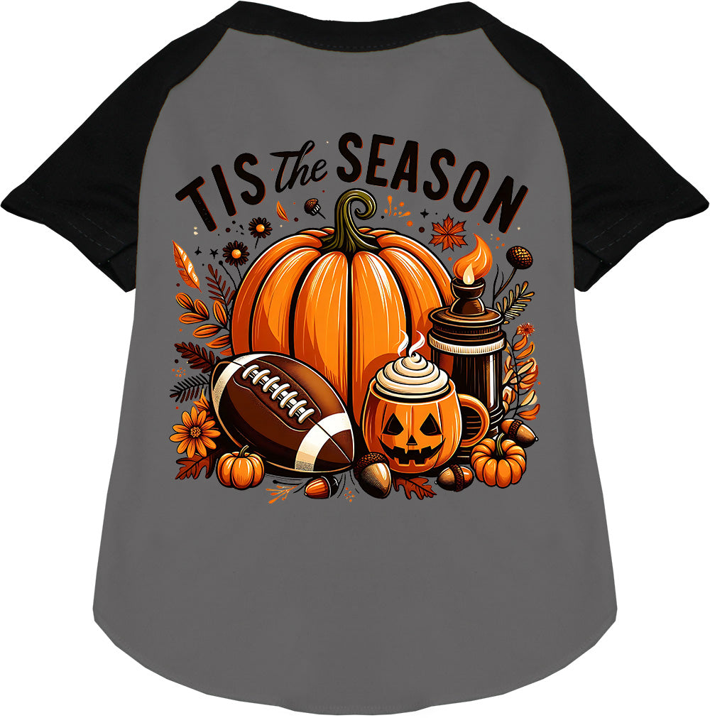 Tis the Fall Season Pet Raglan Shirt