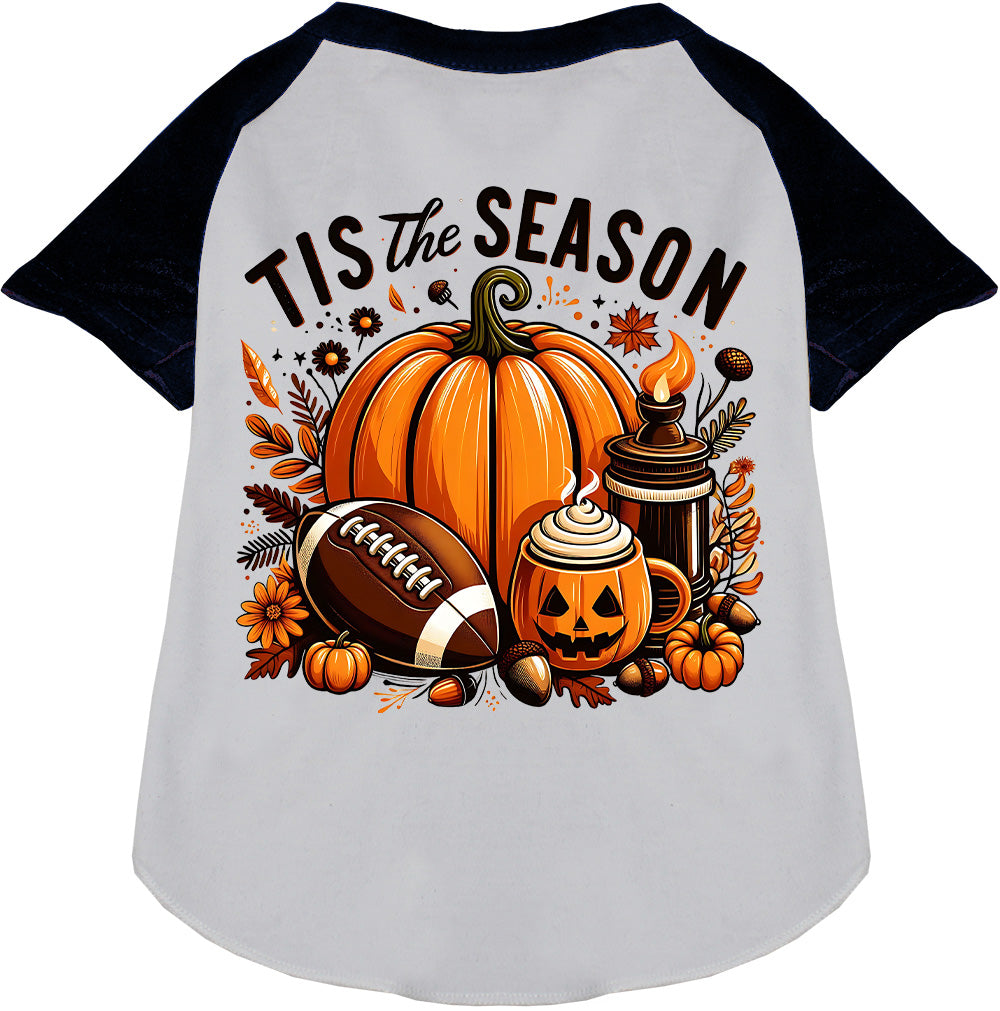 Tis the Fall Season Pet Raglan Shirt