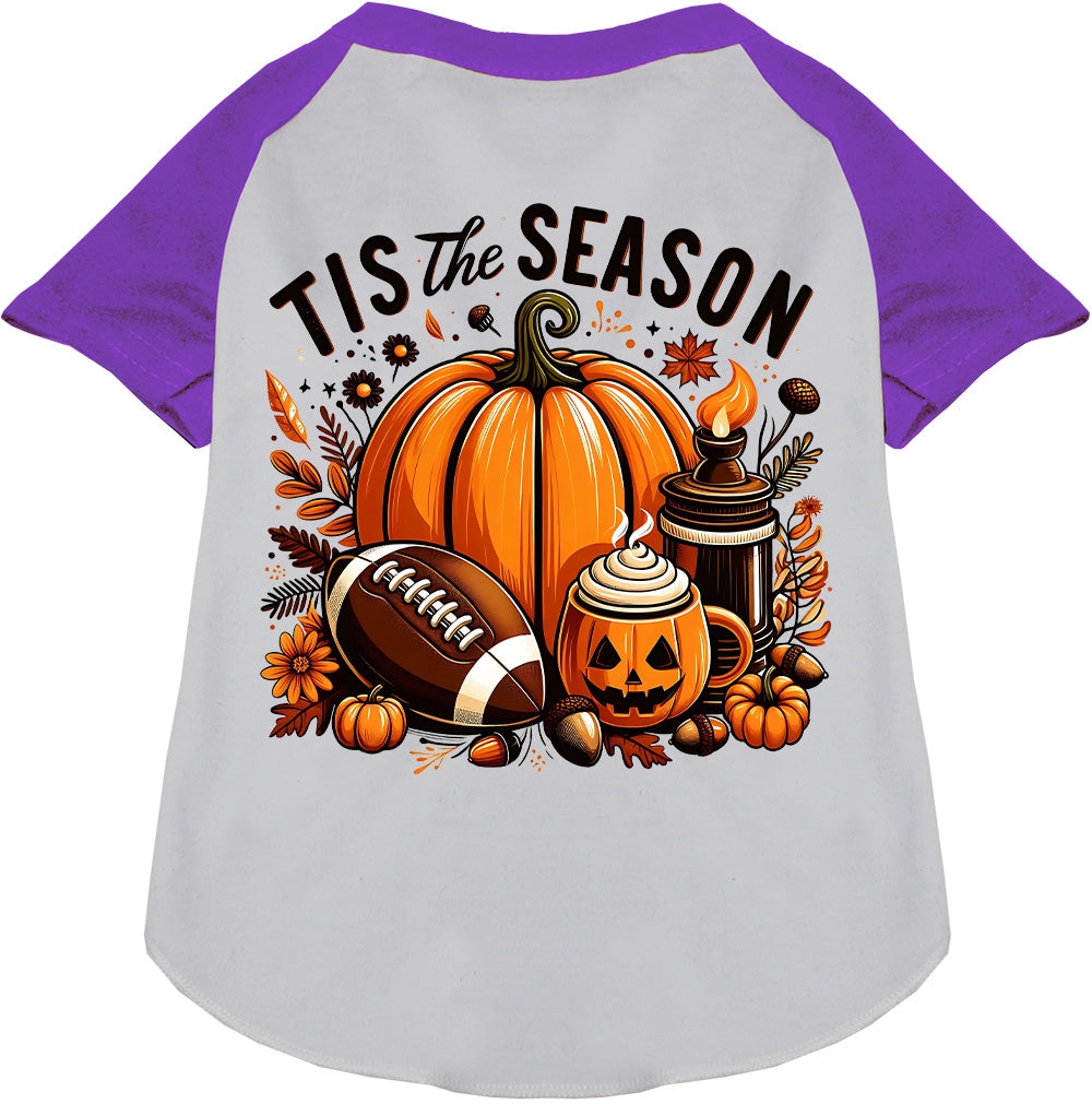 Tis the Fall Season Pet Raglan Shirt
