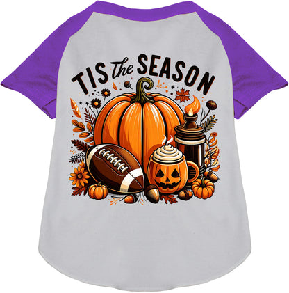 Tis the Fall Season Pet Raglan Shirt
