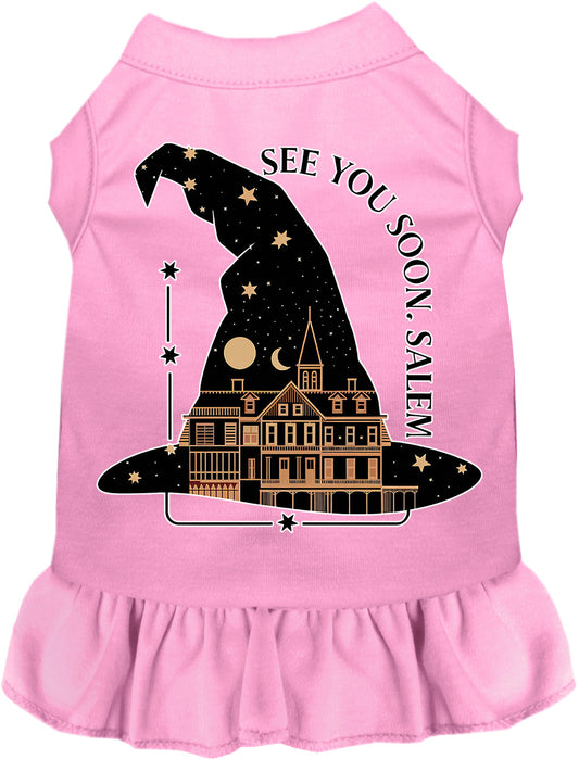 See You Soon, Salem Pet Dress