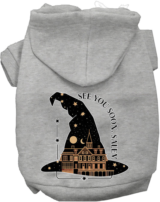 See You Soon, Salem Pet Hoodie