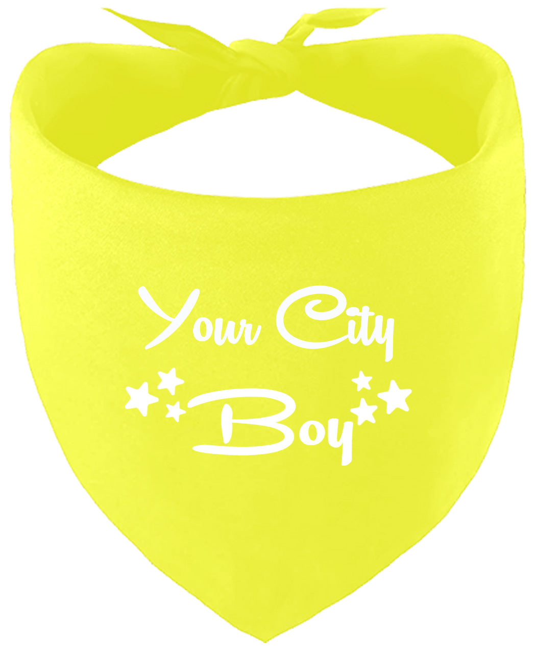 Custom Boy Pet Bandana