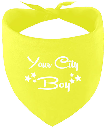 Custom Boy Pet Bandana
