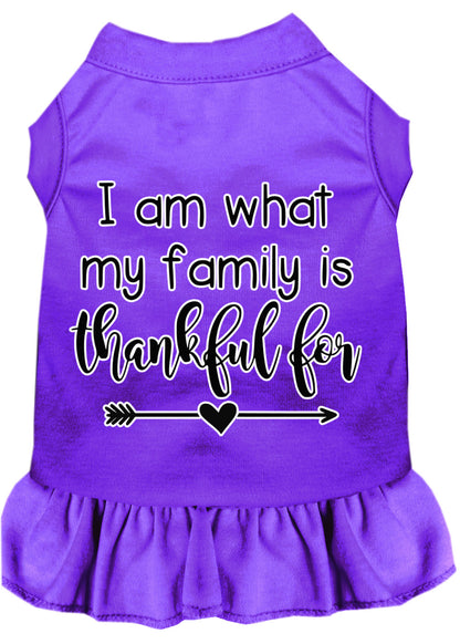 Pet Dress "I Am What My Family Is Thankful For"
