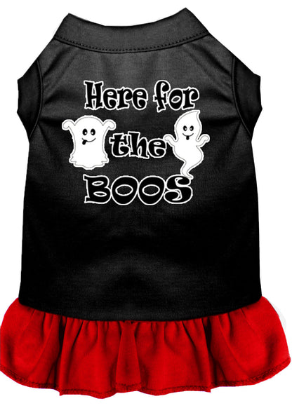 Pet Dress "Here For The Boos"