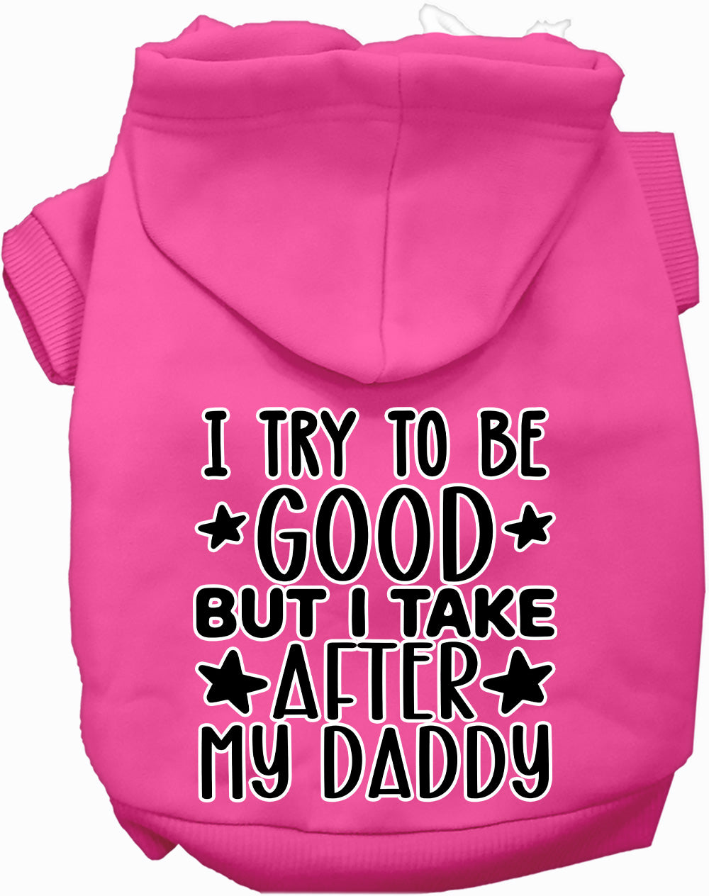 I Take After Daddy Pet Hoodie