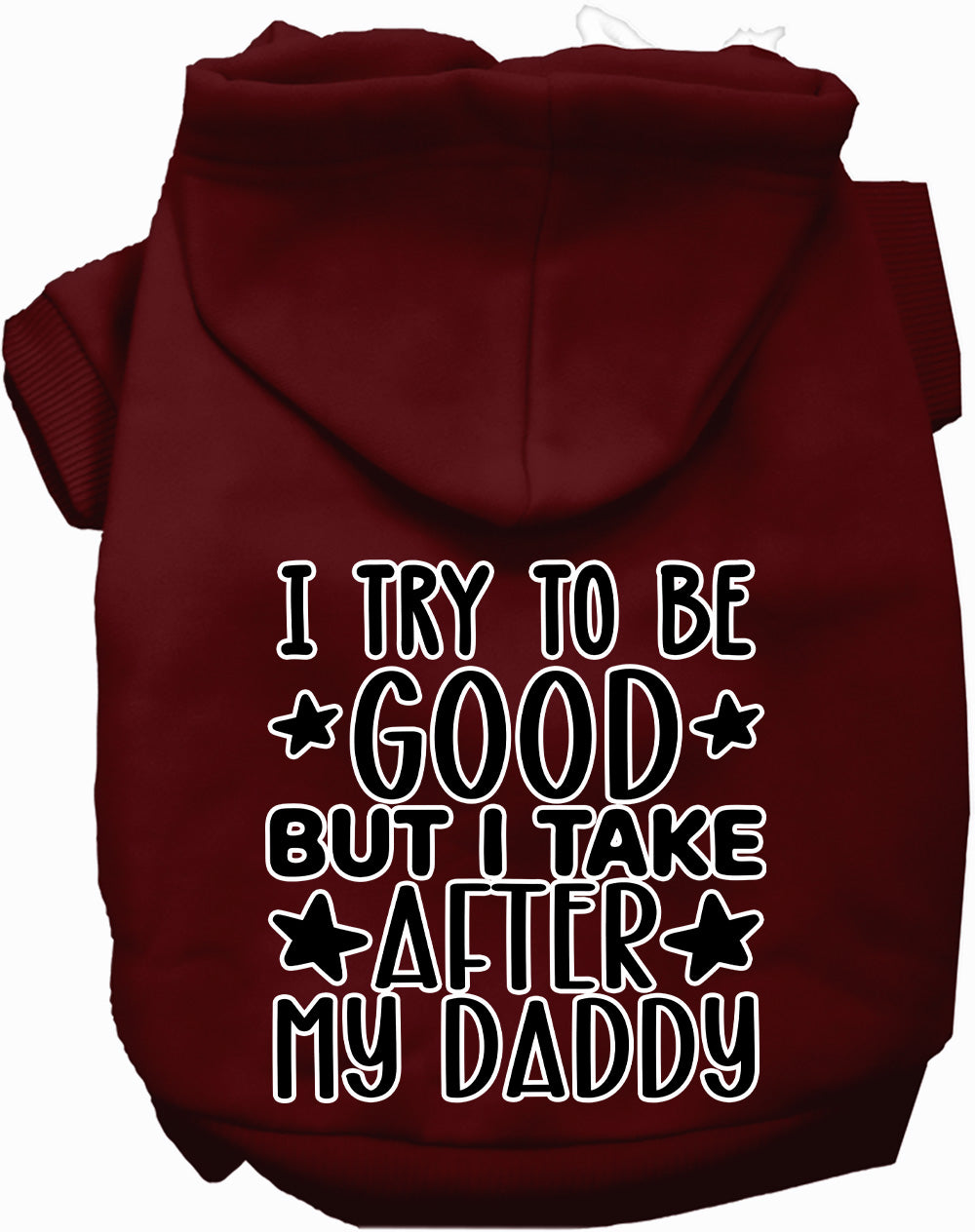 I Take After Daddy Pet Hoodie