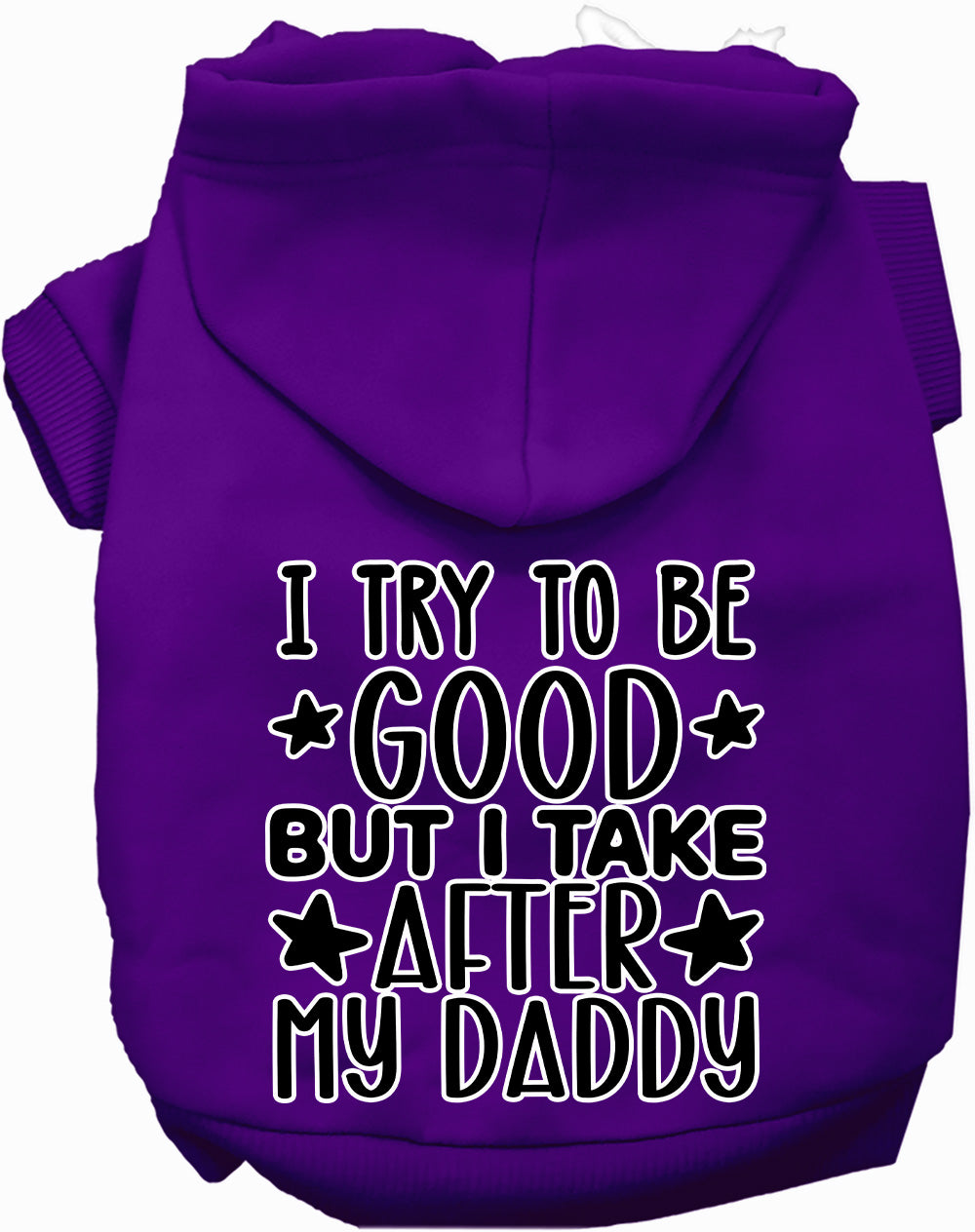 I Take After Daddy Pet Hoodie