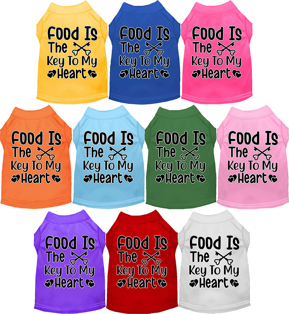 Colorful pet shirts with 'Food is the Key' design