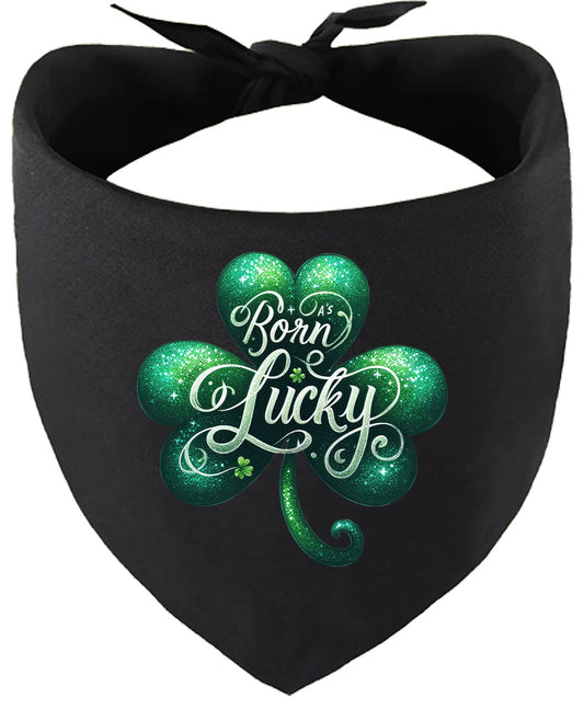 A's Born Lucky Pet Bandana