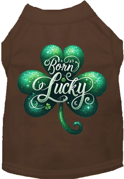 Brown pet shirt with 'A's Born Lucky' design