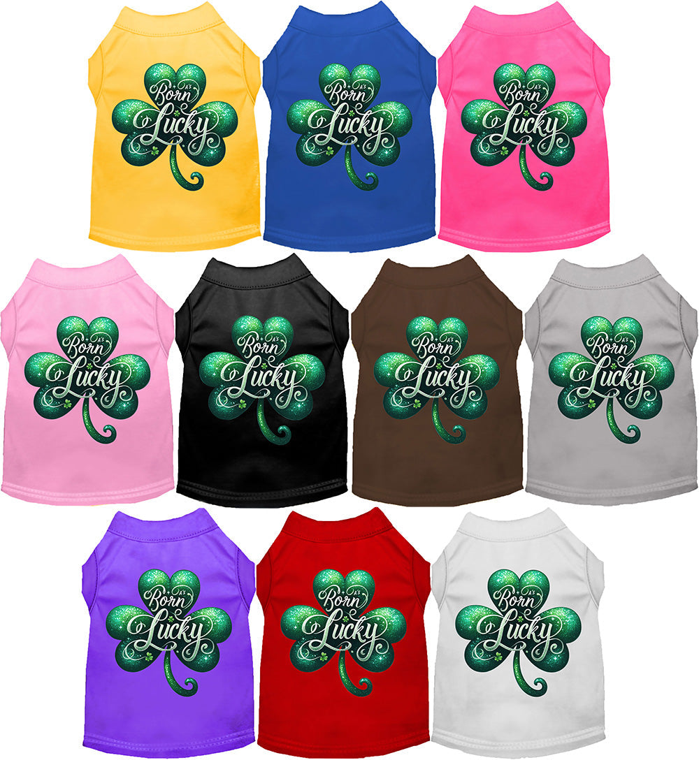 Colorful pet shirts with 'A's Born Lucky' design