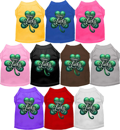 Colorful pet shirts with 'A's Born Lucky' design