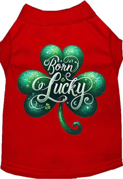 Red pet shirt with 'A's Born Lucky' design