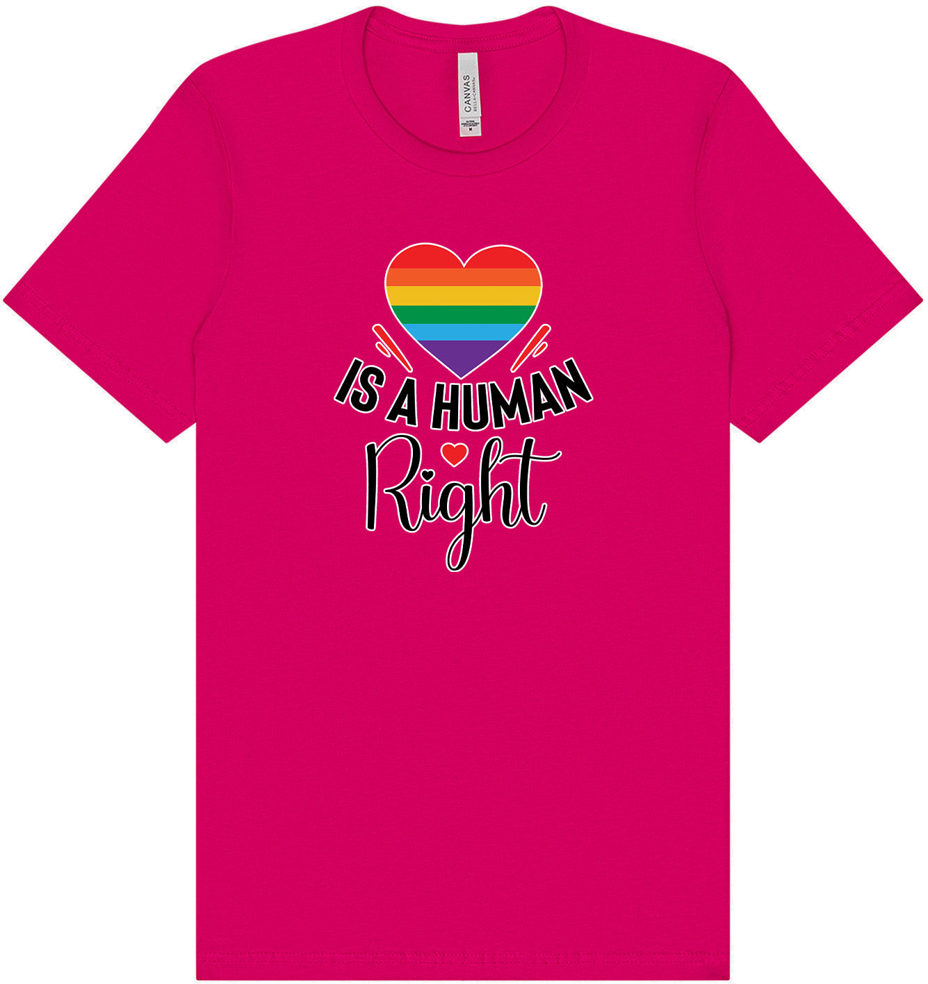 Love is a Human Right Adult Bella Canvas Shirt