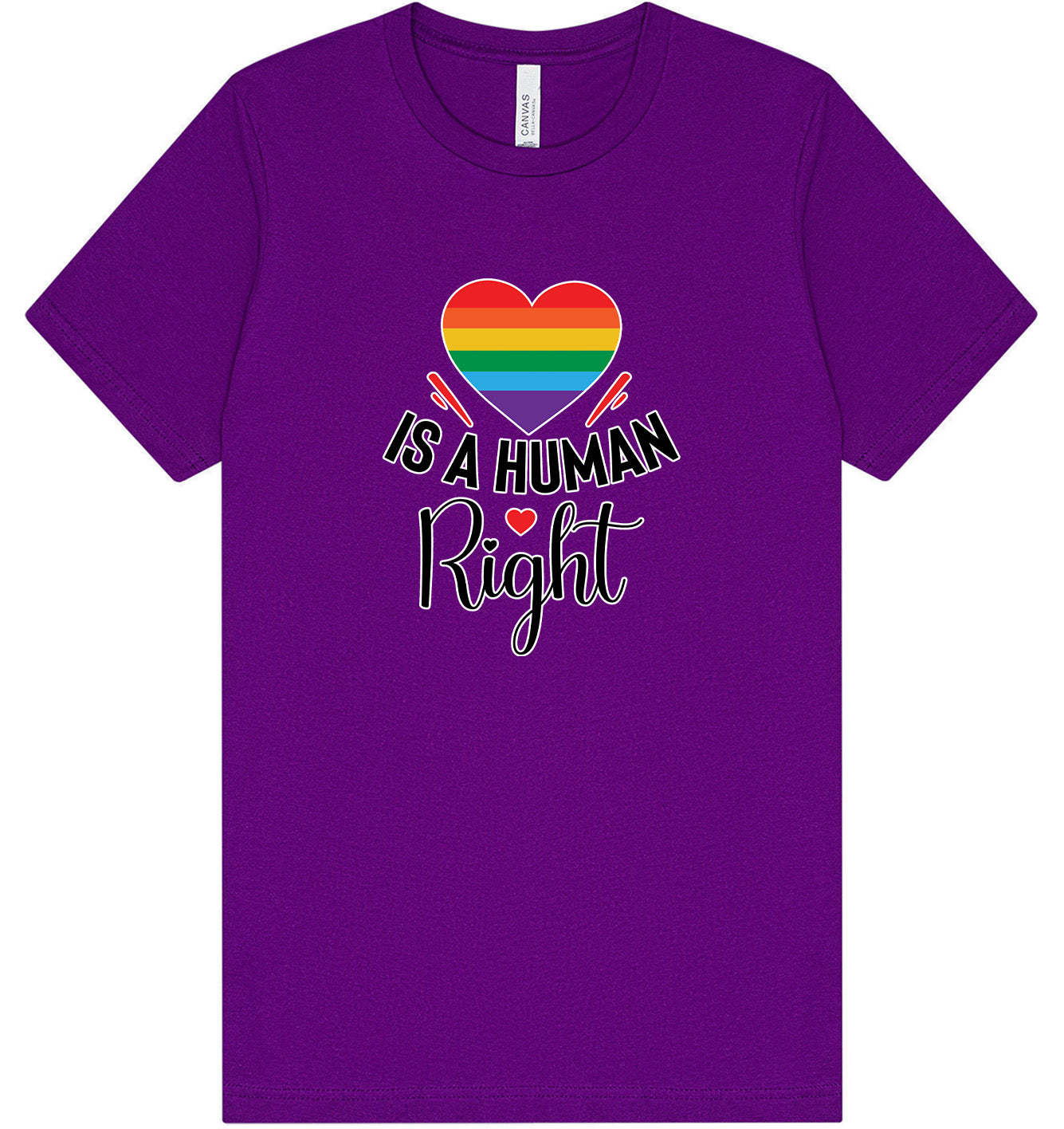 Love is a Human Right Adult Bella Canvas Shirt