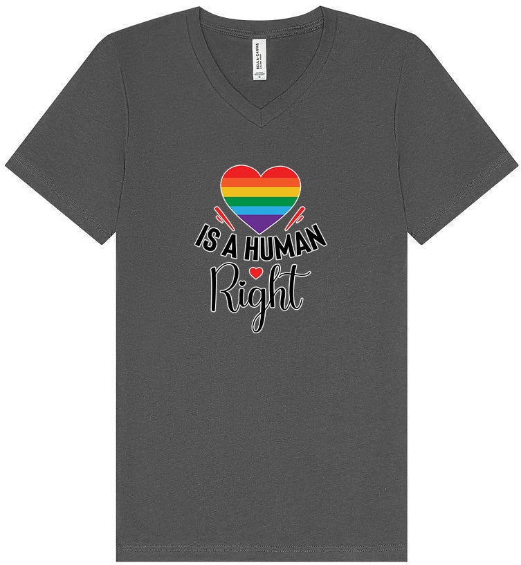 Love is a Human Right Unisex V-Neck Shirt