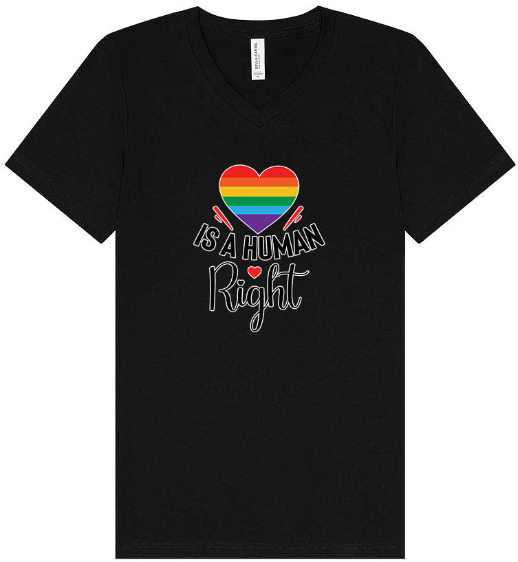 Love is a Human Right Unisex V-Neck Shirt