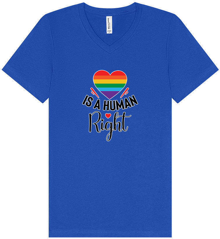 Love is a Human Right Unisex V-Neck Shirt