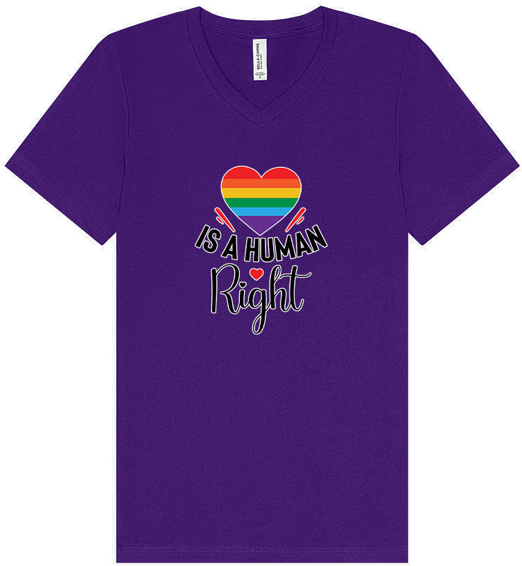Love is a Human Right Unisex V-Neck Shirt