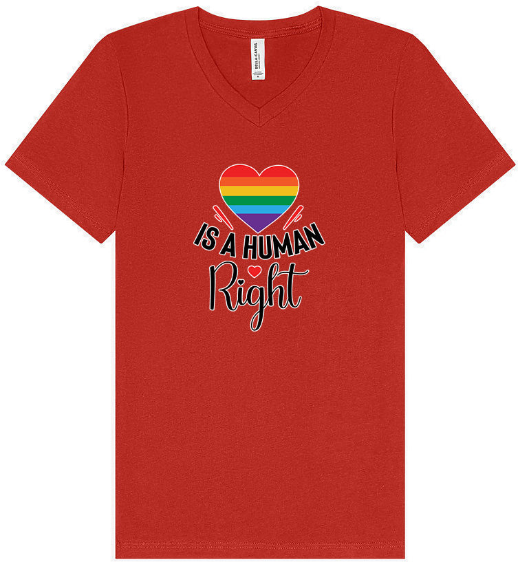Love is a Human Right Unisex V-Neck Shirt