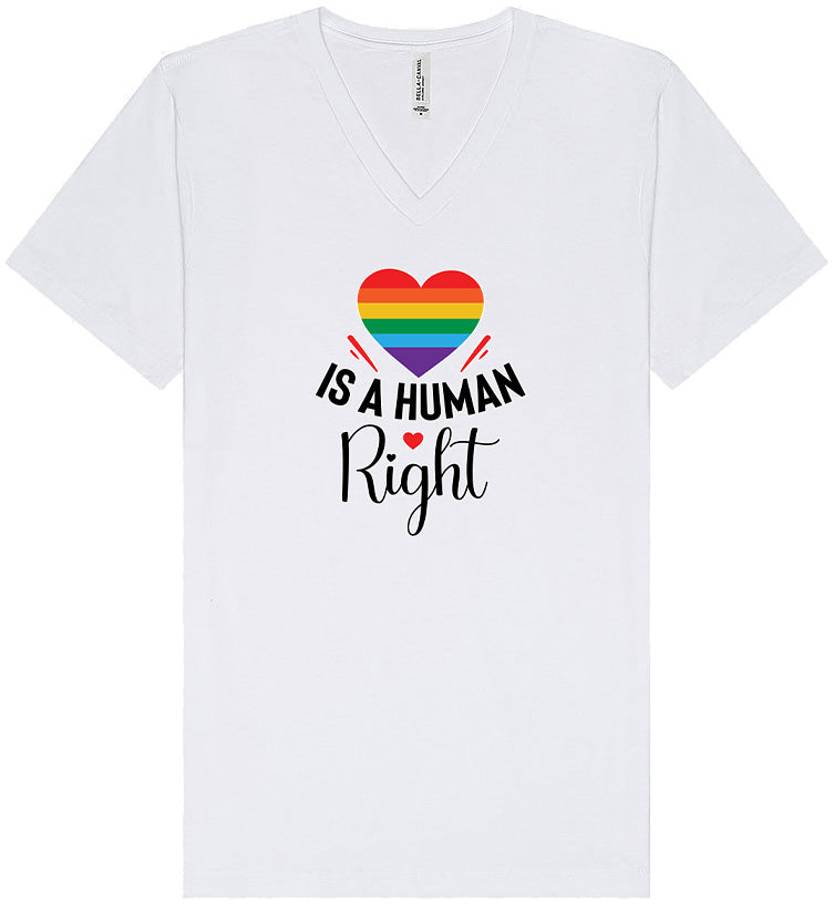 Love is a Human Right Unisex V-Neck Shirt
