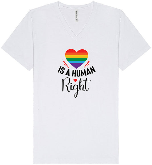 Love is a Human Right Unisex V-Neck Shirt