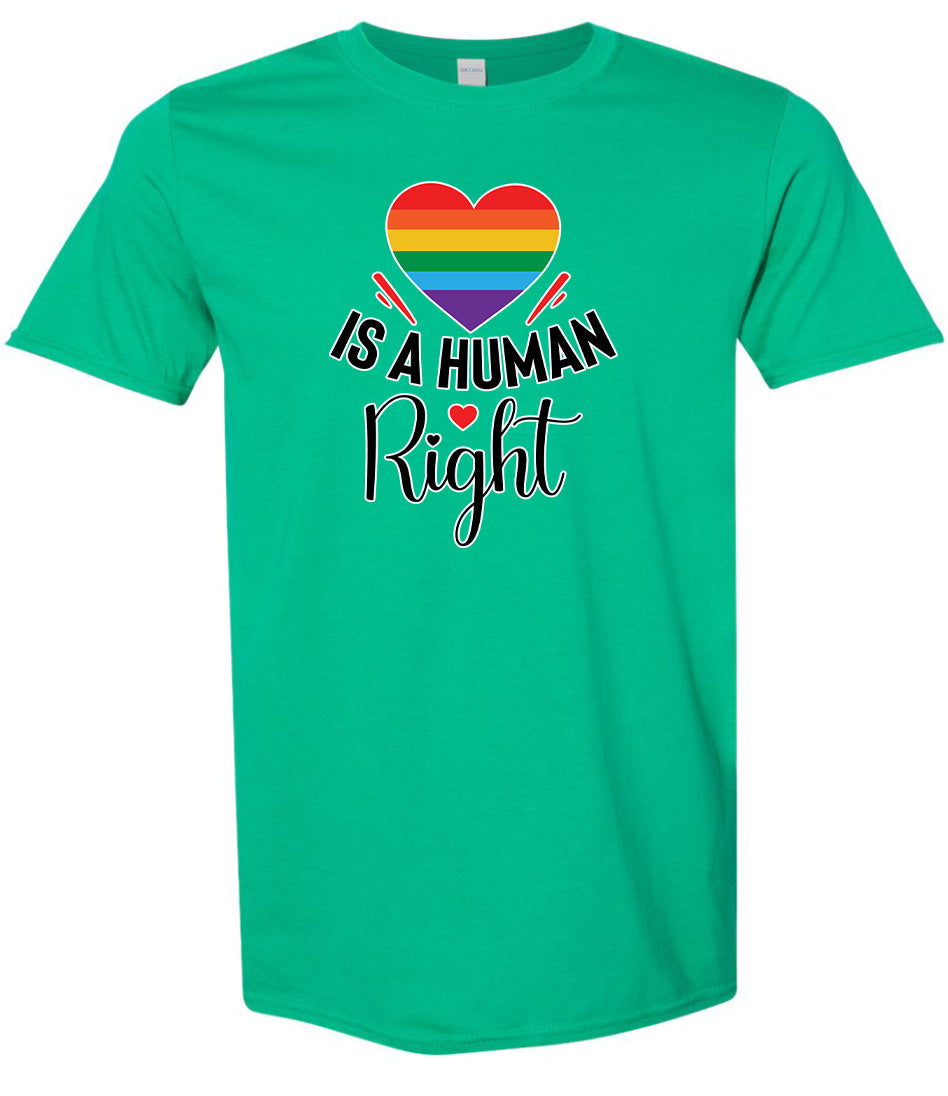 Love is a Human Right Adult Gildan Soft Shirt