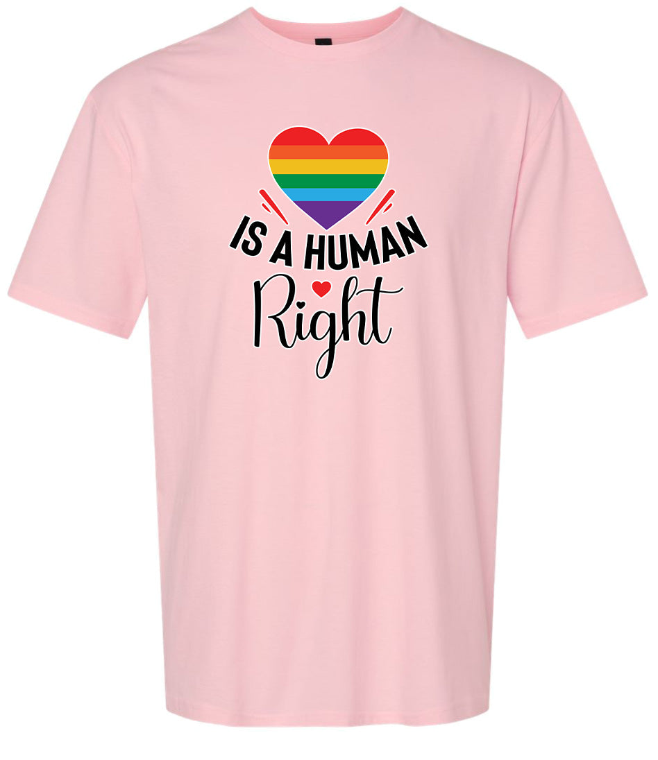 Love is a Human Right Adult Gildan Soft Shirt