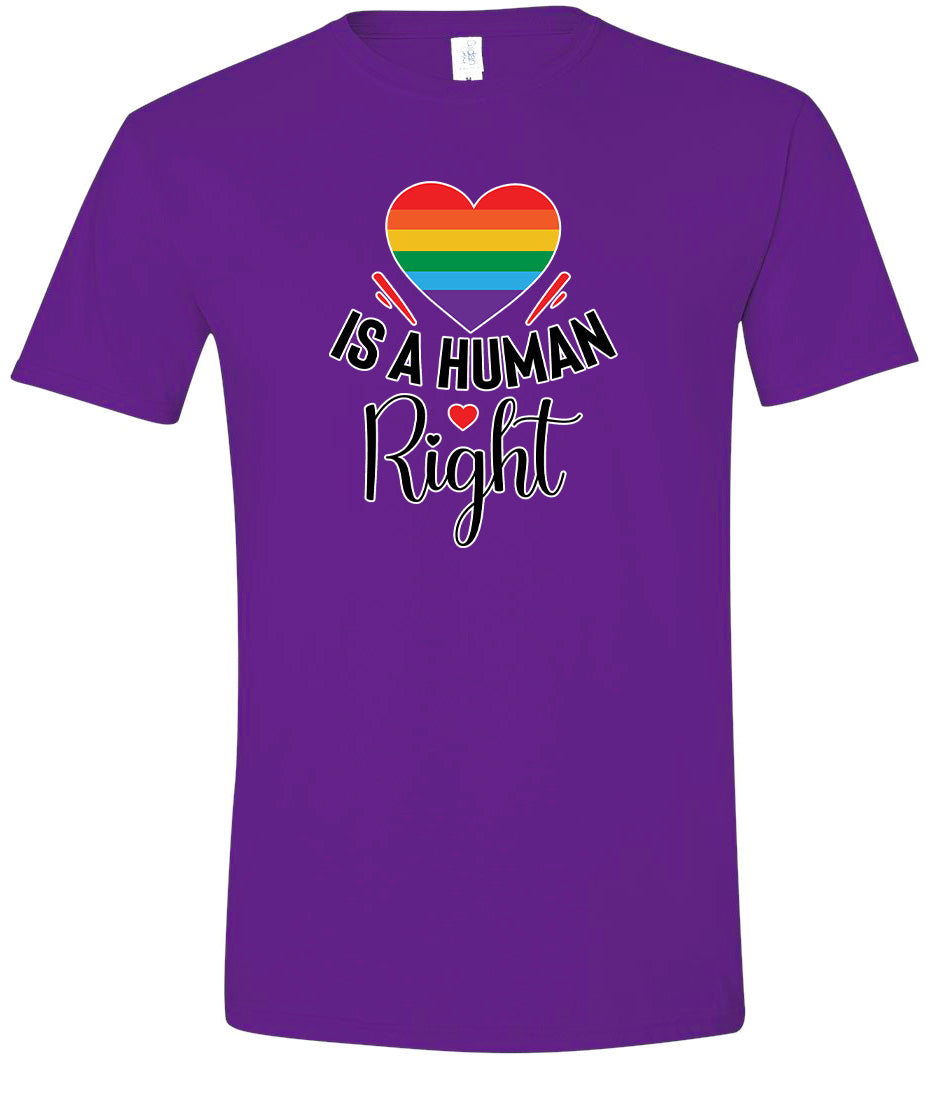 Love is a Human Right Adult Gildan Soft Shirt