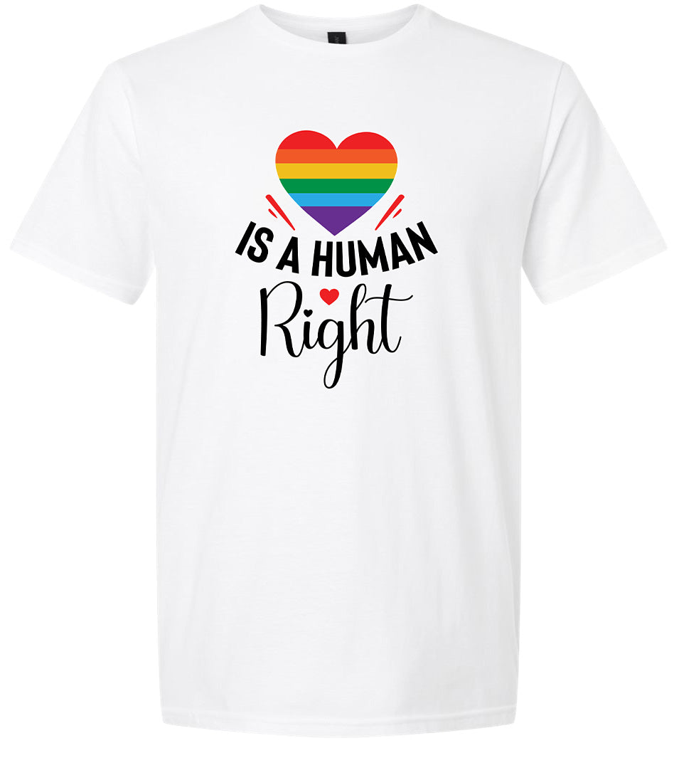 Love is a Human Right Adult Gildan Soft Shirt