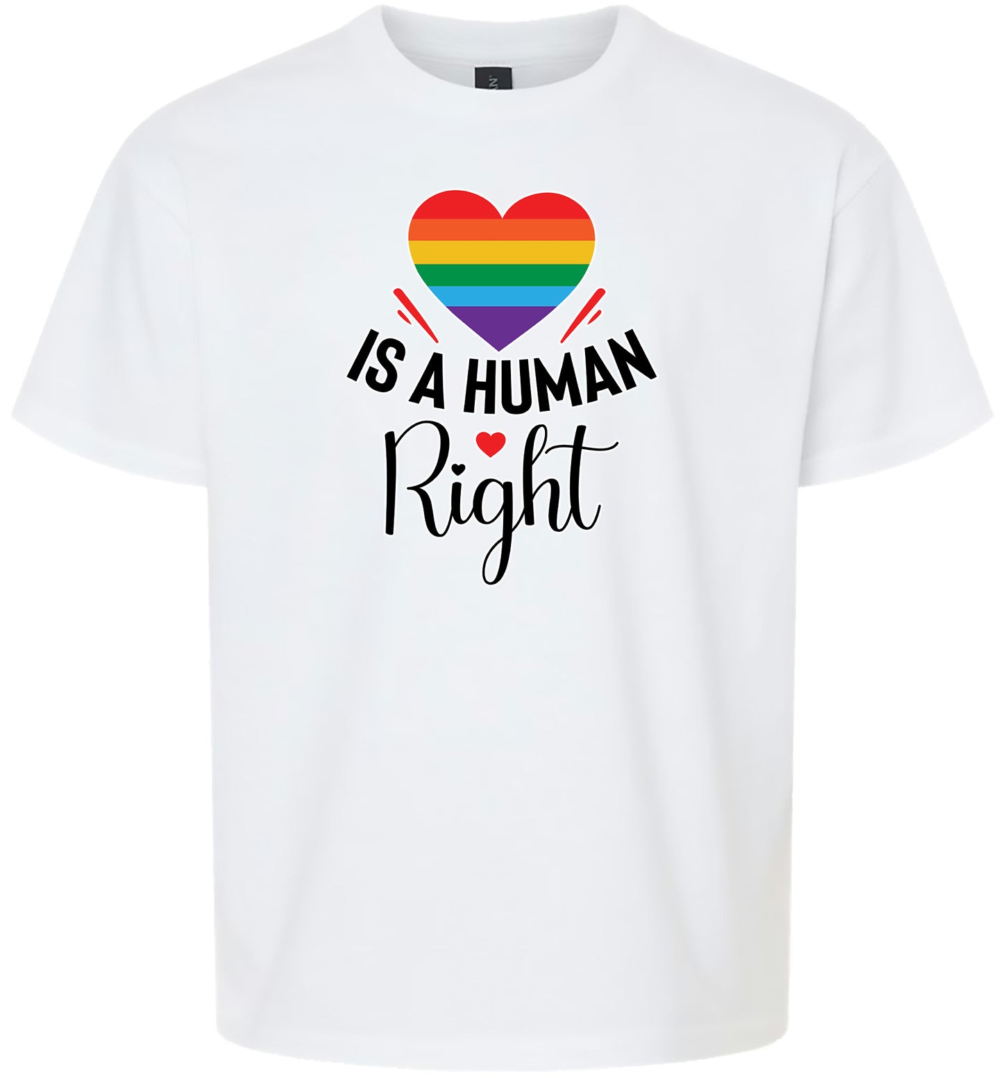 Love is a Human Right Children's Gildan Soft Shirt