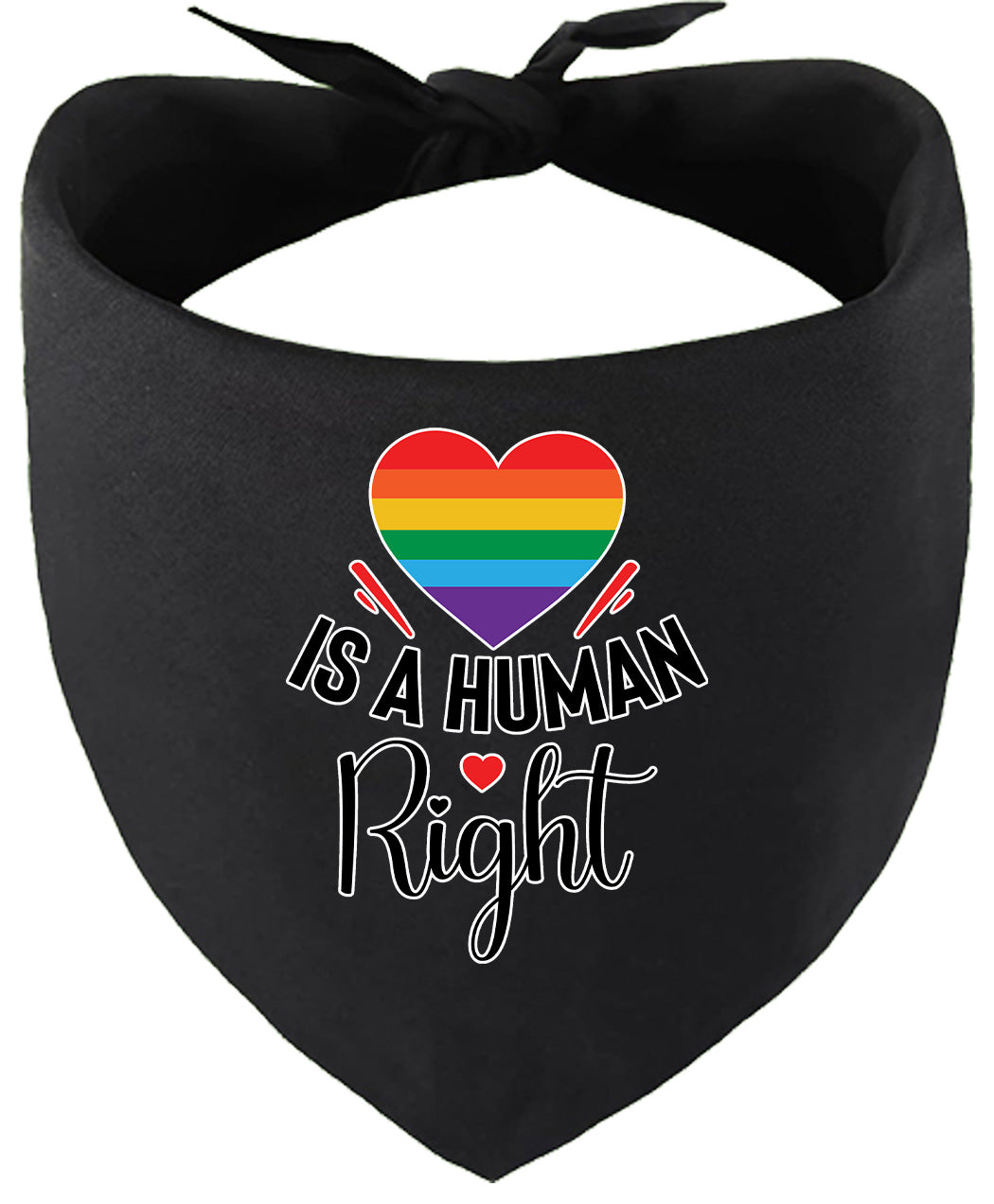 Love is a Human Right Pet Bandana