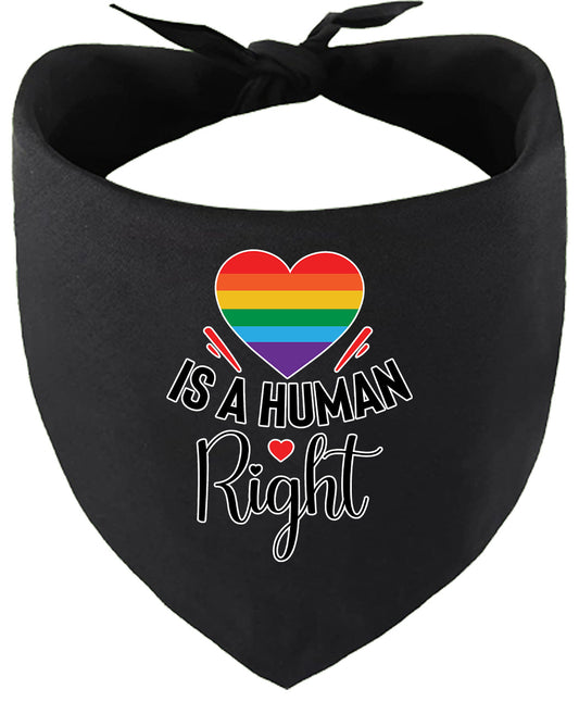 Love is a Human Right Pet Bandana