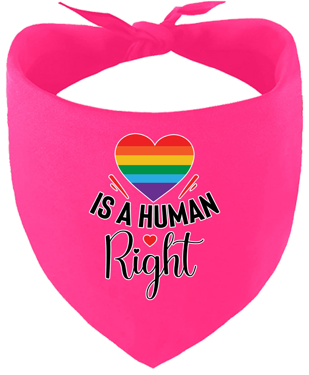 Love is a Human Right Pet Bandana