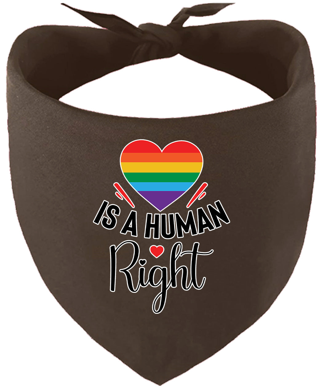 Love is a Human Right Pet Bandana
